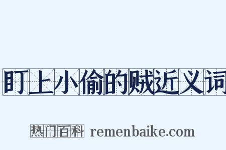 盯上小偷的贼近义词是什么意思的图片